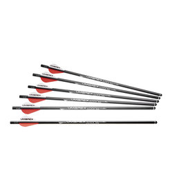 Umarex AirArchery carbon arrows for Air Javelin - 6 pieces