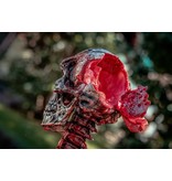 MonsterTargets Bersaglio sanguinante teschio demone 3D