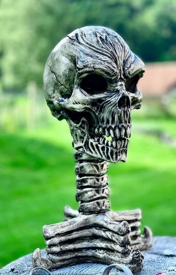 MonsterTargets Cible de saignement 3D Demon Skull en mousse rigide