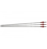 NXG Carbon arrows 30" Spine 350 - 3 pcs.