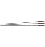 NXG Flechas de carbono 30" Spine 350 - 3 peças.