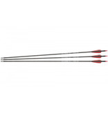 NXG Carbon arrows 30" Spine 400 - 3 pcs.