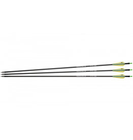 NXG Flechas de fibra de vidrio 30" Spine 500 - 3 uds.