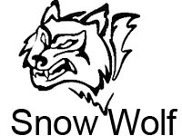 Snow Wolf SW-027 Resorte de perno de acción de francotirador SVD Dragunov 1,49 julios - BK