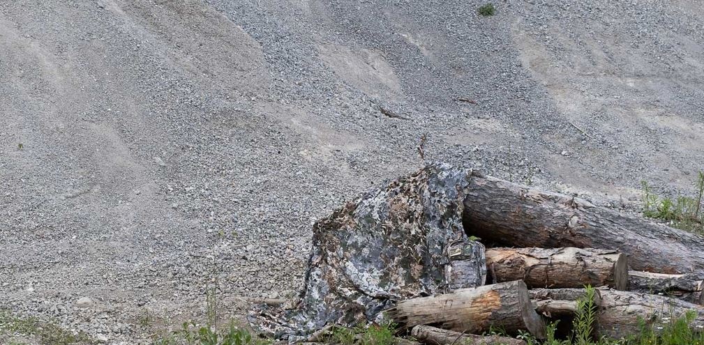 Mil-Tec Telo mimetico Laser Cut Phantomleaf WASP I - 1,5 x 3,0 metri