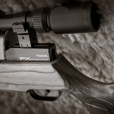 FX AirGuns FX Dreamline Classic Synthetic