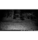 HIKmicro Kamera dzikiej przyrody M15