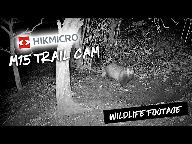 HIKmicro Kamera dzikiej przyrody M15