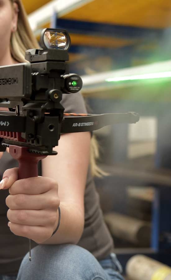 Steambow Viseur laser AR-Series vert avec support