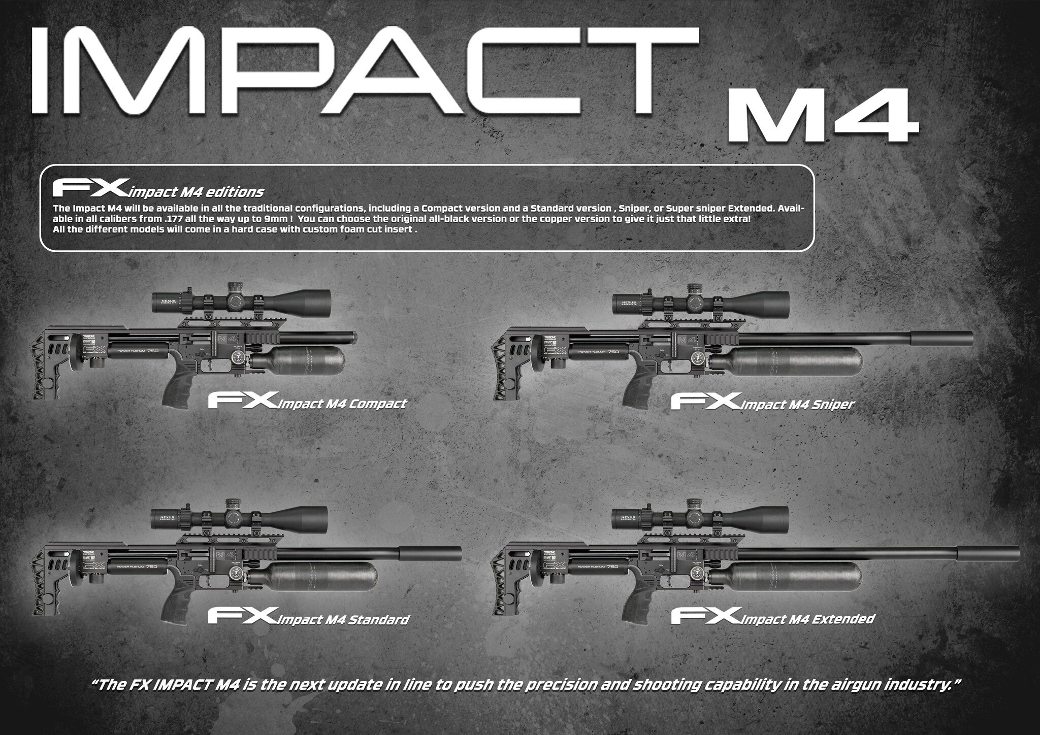 FX AirGuns Tireur d'élite FX Impact M4 - Noir