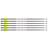 FX AirGuns Airbow Arrows Air Venturi Air Bolt Kal. 9mm/.35 - 6 Stück