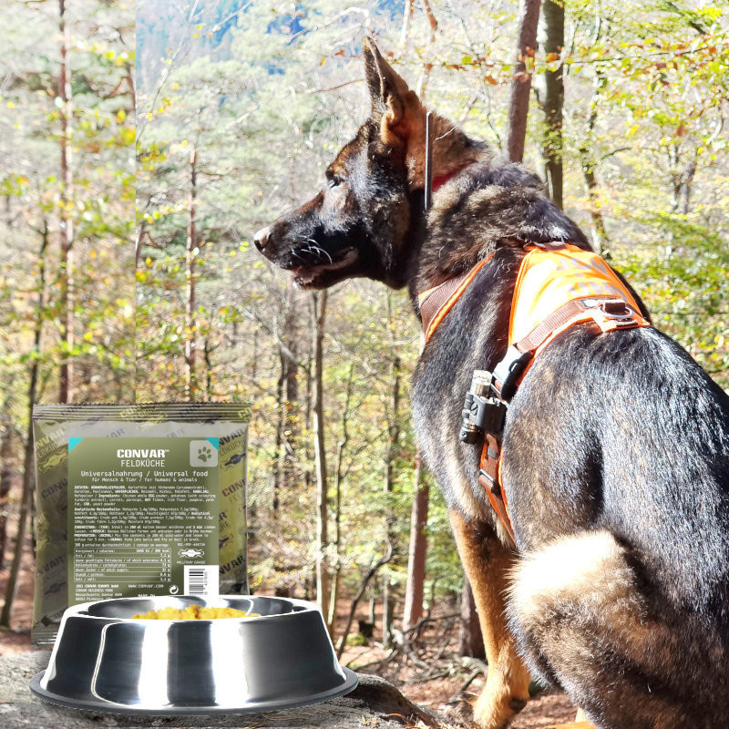 Convar Foods 10 x Feldküche FOOD-4DOX