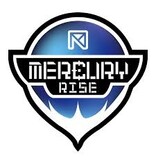 Mercury Rise Estensione della canna da 10 pollici +50 joule per IntruBuster Gen.2 RAM