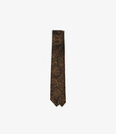 Drake's Painted Paisley Wool-Silk Tie - Brown