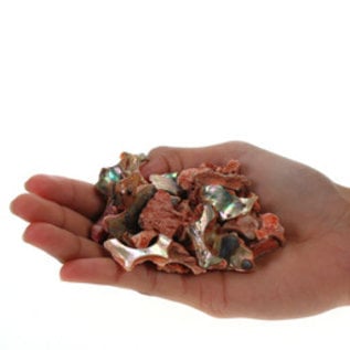 SEAURCO Peach Abalone (Polished Offcuts)