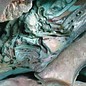 SEAURCO Abalone Polished Offcuts- Green