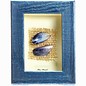 Shoreline Picture with Blue Framr, 4 designs, 6X4