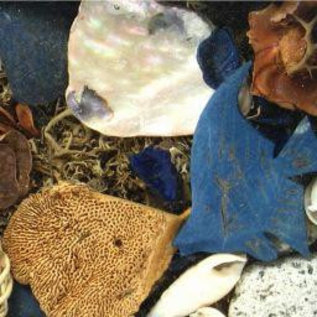 15X20cm Pot Pouri Picture Asst Colours