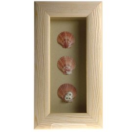 Triple Shell in a White Box Frame