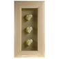 Triple Shell in a White Box Frame  10x4 inches, Goldmouth Turbo, 1