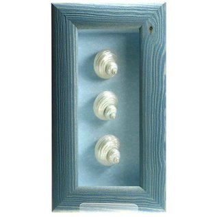 Triple Shell in a Blue Box Frame