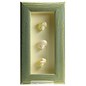 Triple Shell in a Green Box Frame  10x4 inches.