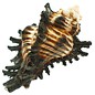 SEAURCO Brummeus Murex 3cm