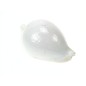 SEAURCO Eggshell Cowrie 6cm