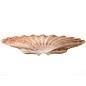 SEAURCO Medium Flat Scallops 10cm.