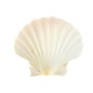 SEAURCO Small Deep Scallops with ground edges 8cm. Set of 4,