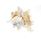 SEAURCO Ex-Large White Murex