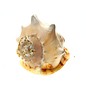 SEAURCO Queen's Helmet 22cm