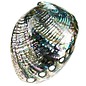 SEAURCO Polished Blue Abalone 14-16cm