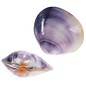 SEAURCO Polished Violet Mussel 2-3cm