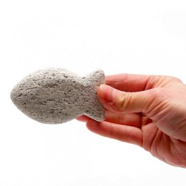 Pumice Fish 10cm