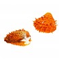 SEAURCO Orange Spondylus