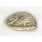 SEAURCO Polished Opal Abalone 15cm