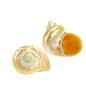 SEAURCO Large Goldmouth Mother of Pearl 4cm