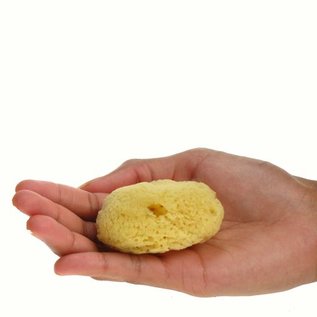 5-7cm Wool Bleached Seasponge