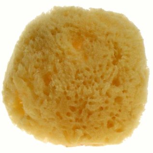 5-7cm Wool Bleached Seasponge