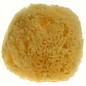 5-7cm Wool Bleached Seasponge