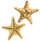 Thorney Starfish 2.5cm