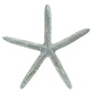 Blue Starfish 12cm