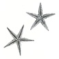 Silver Brittle Starfish 5cm