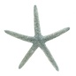 Starfish Natural Blue 4-5"