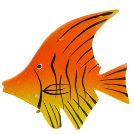 Painted Angel Fish 8cm Yellow/Orange