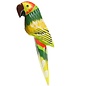 Handpainted Parrot with Clip