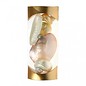 Polished Shells Gift Set - Gold