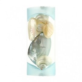 Polished Shells Gift Set - Blue