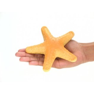 Plastic Starfish